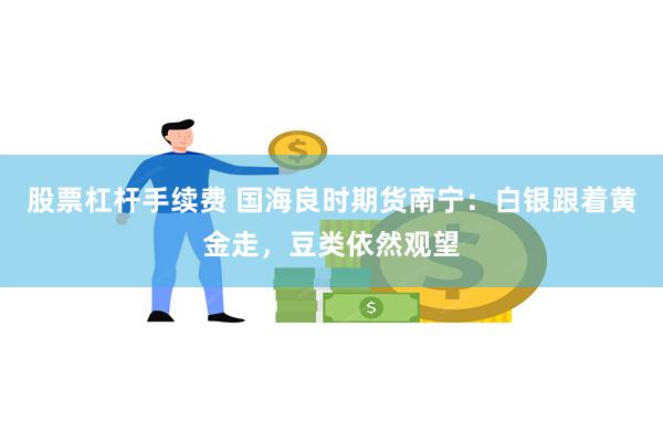 股票杠杆手续费 国海良时期货南宁：白银跟着黄金走，豆类依然观望