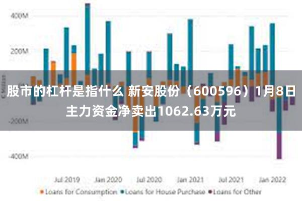 股市的杠杆是指什么 新安股份（600596）1月8日主力资金净卖出1062.63万元